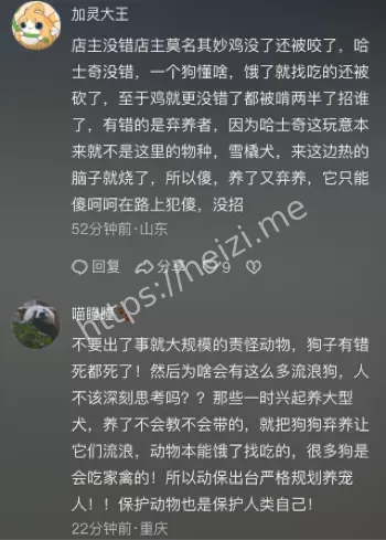 哈士奇咬鸡伤店主砍伤