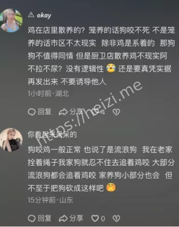 流浪狗自卫争议