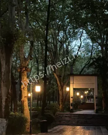 何某随机砍杀3死3伤