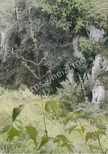 下午4点身亡真相