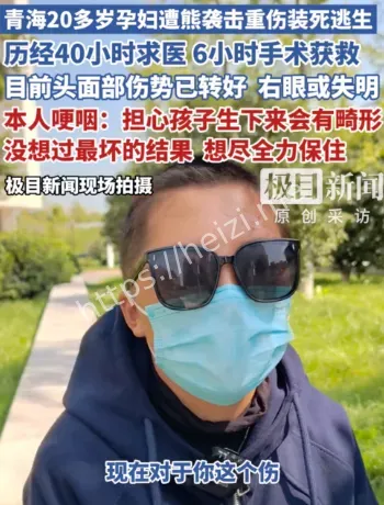 孕妇遭熊袭击时间线复盘