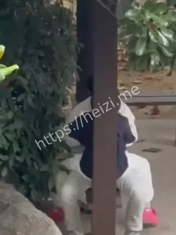 徐州技师学院凉亭情侣视频