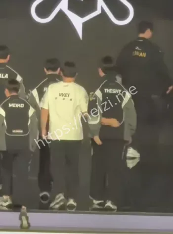 Wei关键团战送人头