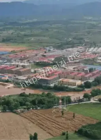 魏家明家电诈受害血泪