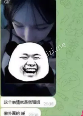 东南亚诈骗园区受害者故事