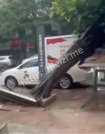 沿海经济损失八卦爆料