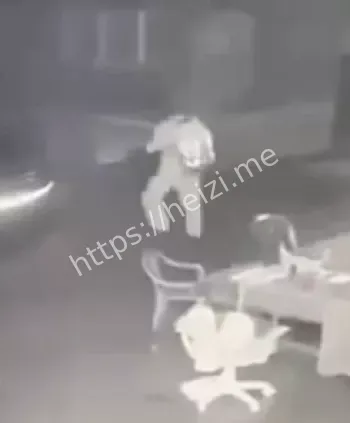 杜维贤一家枪杀事件详情