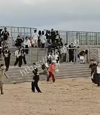 现场失控多人受伤