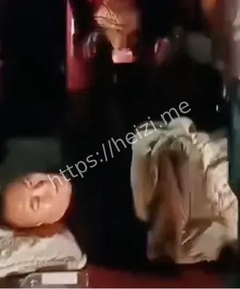 特卫车撞伤业主