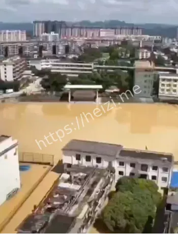 崇左洪灾救援进展