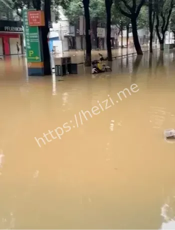 左江水位超警洪水