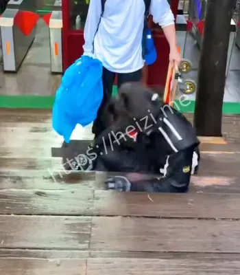 高位截瘫坚持梦想