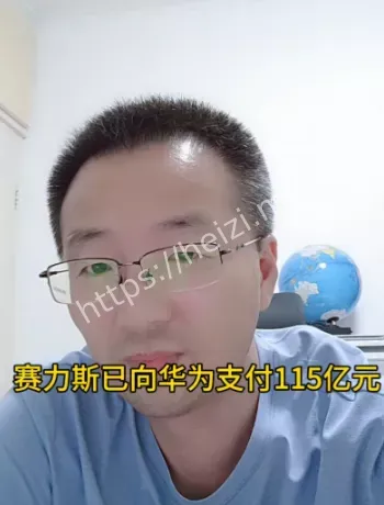 赛力斯向华为支付115亿元进展