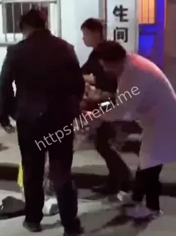 平顶山公厕不雅事件