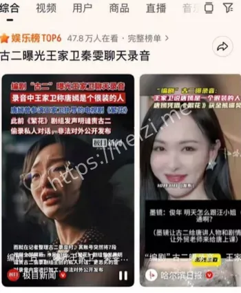 秦雯王家卫深夜酒店偷情录音