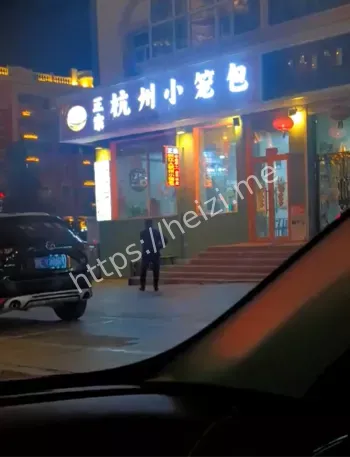 马波持刀复仇朱琳