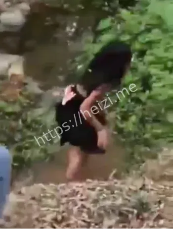 海南临高13岁女孩霸凌事件