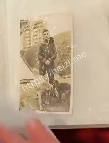 猛追湾自律委员会