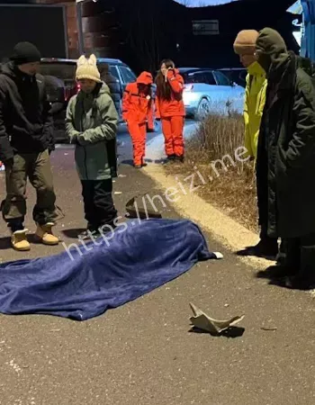 数十辆车在结冰坡道被撞成废铁