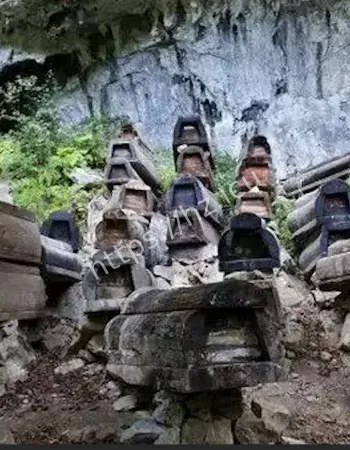 棺材洞内诡响不断