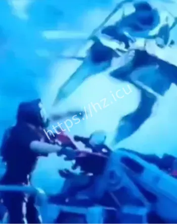 奈蒂莉复仇宽恕