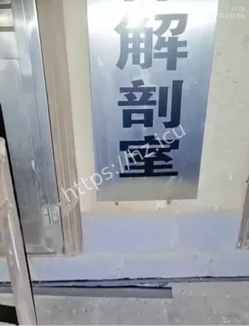 冰馆玉足轮廓曝光