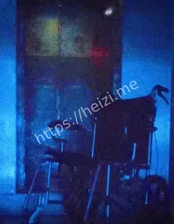 诡影病房真实事件