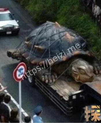 1965渔民目击王八