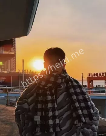 评论区一片叫好