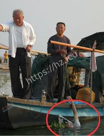 长江南京段诡异尸体