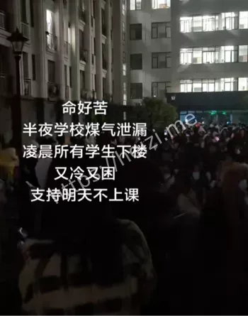 贵州医大真人版吃鸡