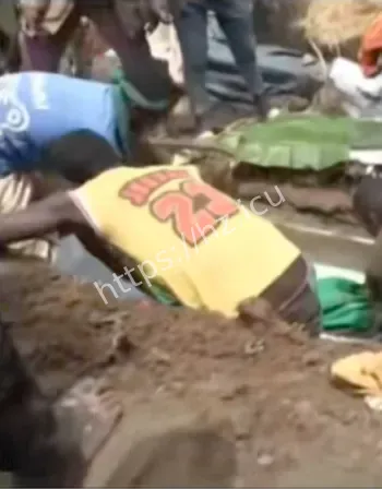 跨国人体器官贩卖