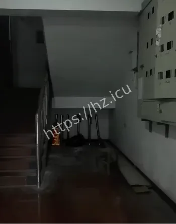 金山广场夜半黑影事件