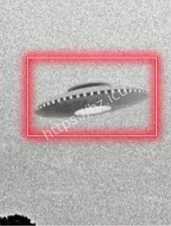 学校数百学生老师