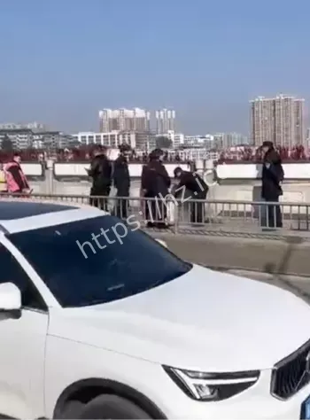 湖南跳桥轻生事件