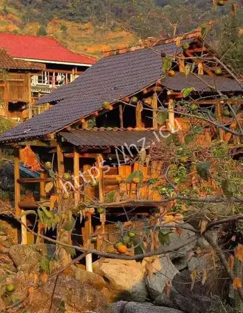 每晚回来找替身